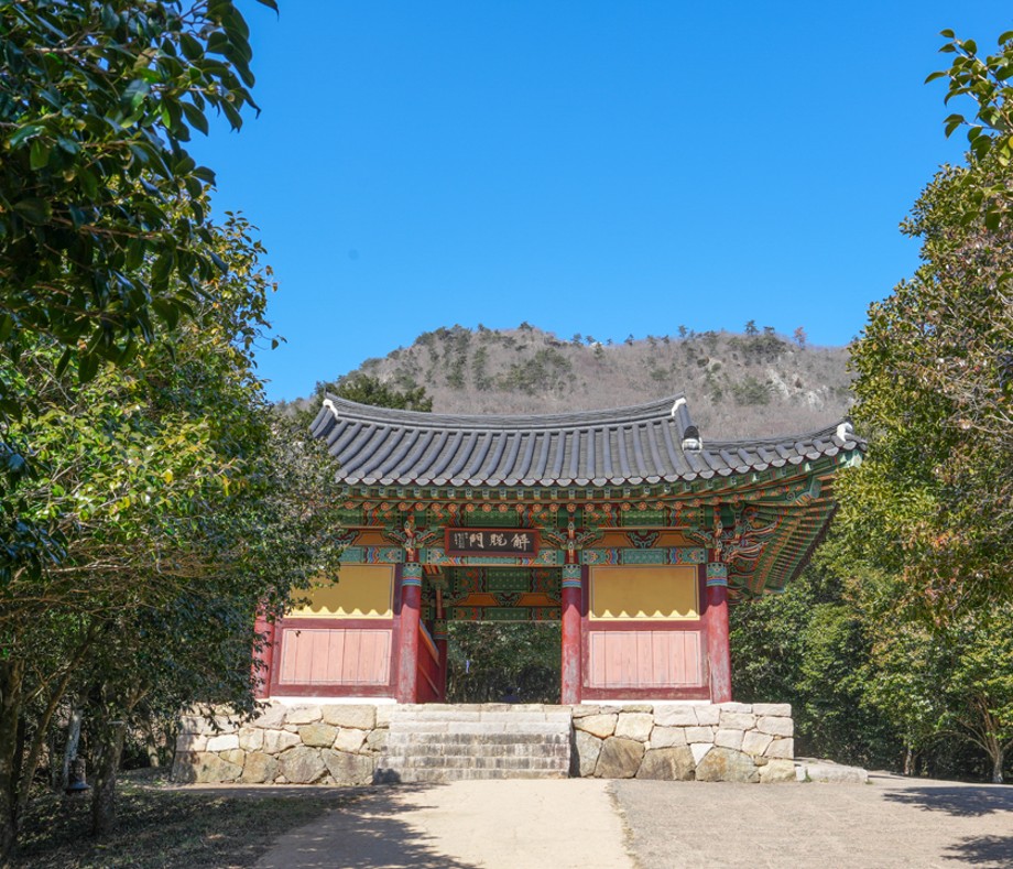 백련사 동백나무숲